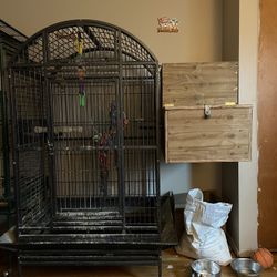 Bird Cage