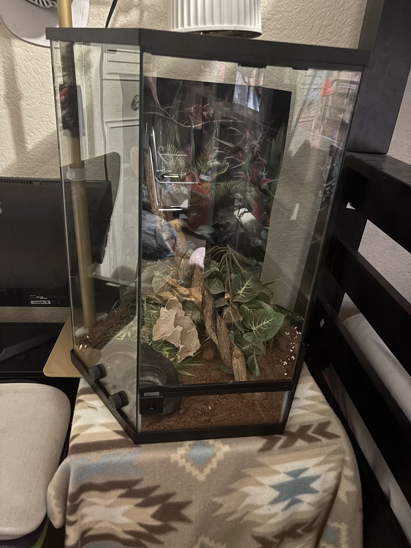 Reptiles Tank