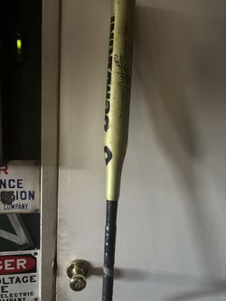 Demarini Bustos Softball Bat