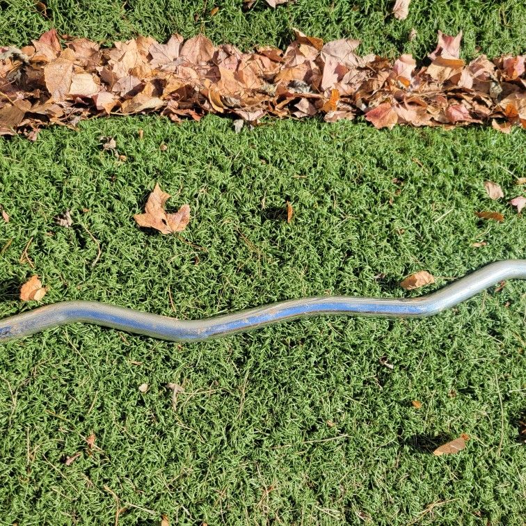 Curling Bar