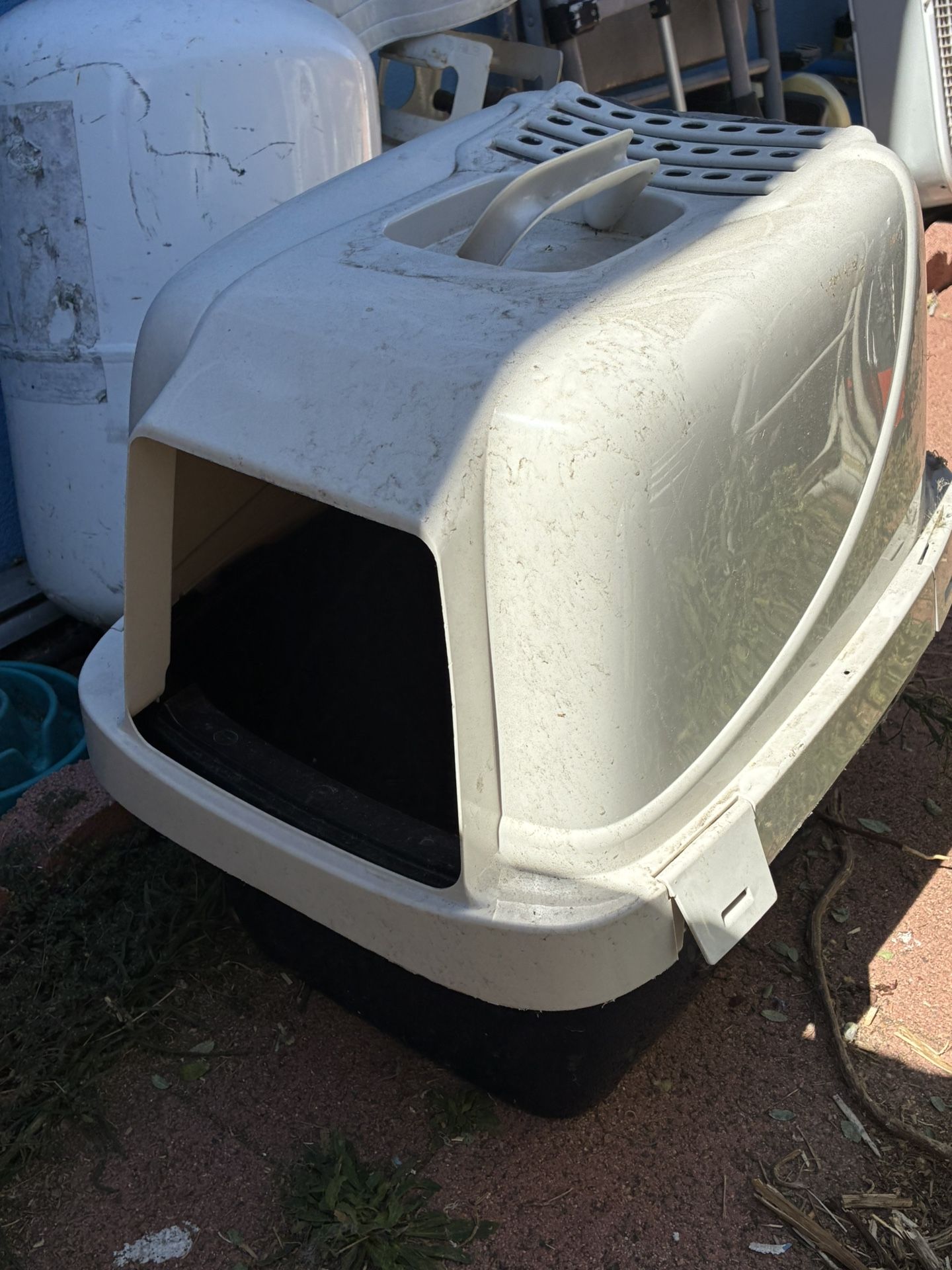 Kitty Litter $5