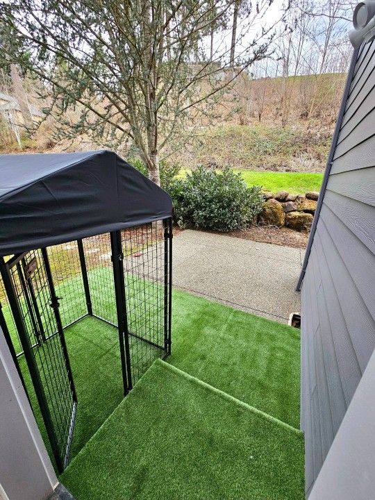 LUCKY DOG KENNEL