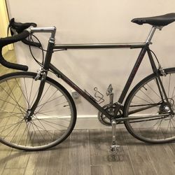 LeMond Alpe D Huez Road Bike Campagnolo 