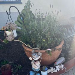 Big Pot w/ Plants & Flowers