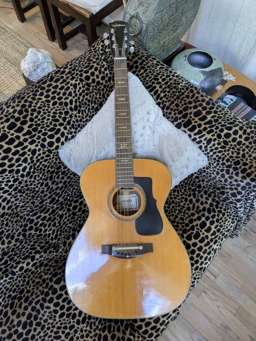 Ventura Bruno V-12 Acoustic Guitar