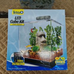 3 Gallon Aquarium Tank