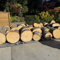 New, Dry Pine Rounds