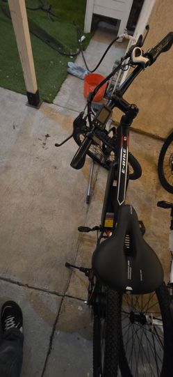 E bike