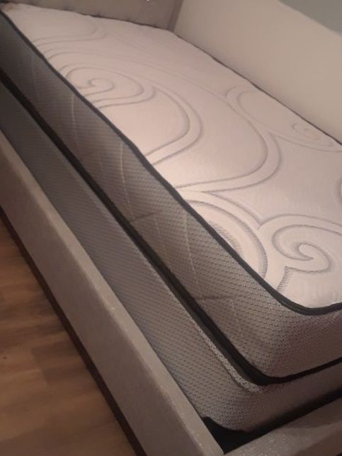 Plush Twin Size Mattress Sets Free Delivery $169.99 Free Delivery (Mattress And Box Springs Only)