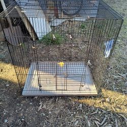 Small Animal Cage