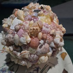 Shell Ball