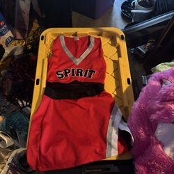 Cheerleading Costume Halloween