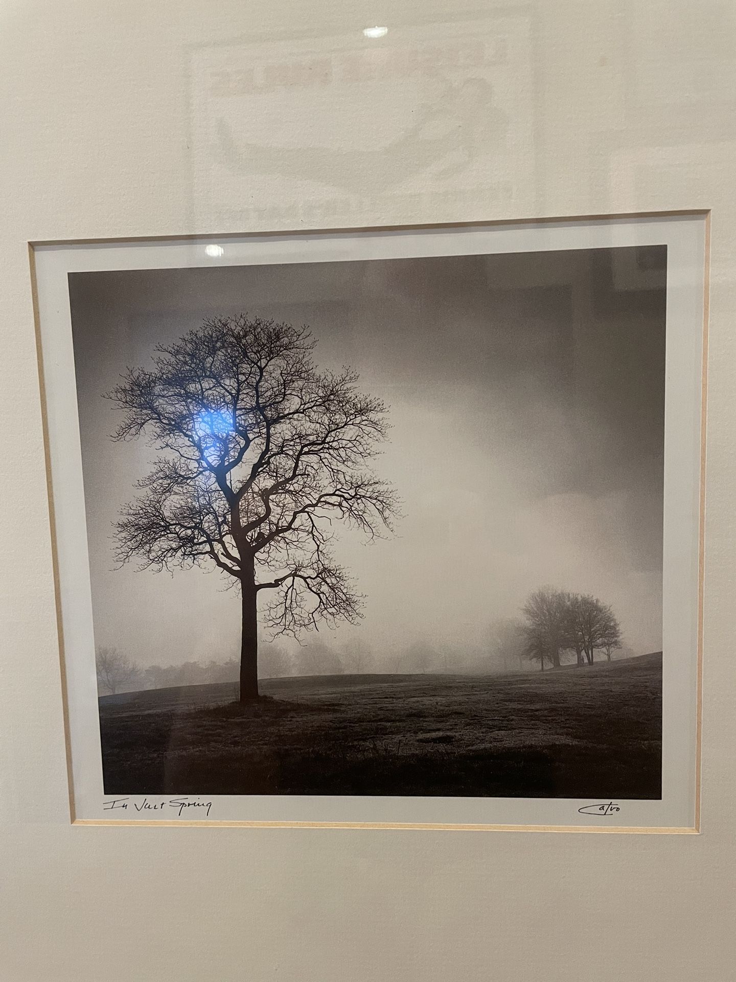 Richard Calvo Vintage Photograph