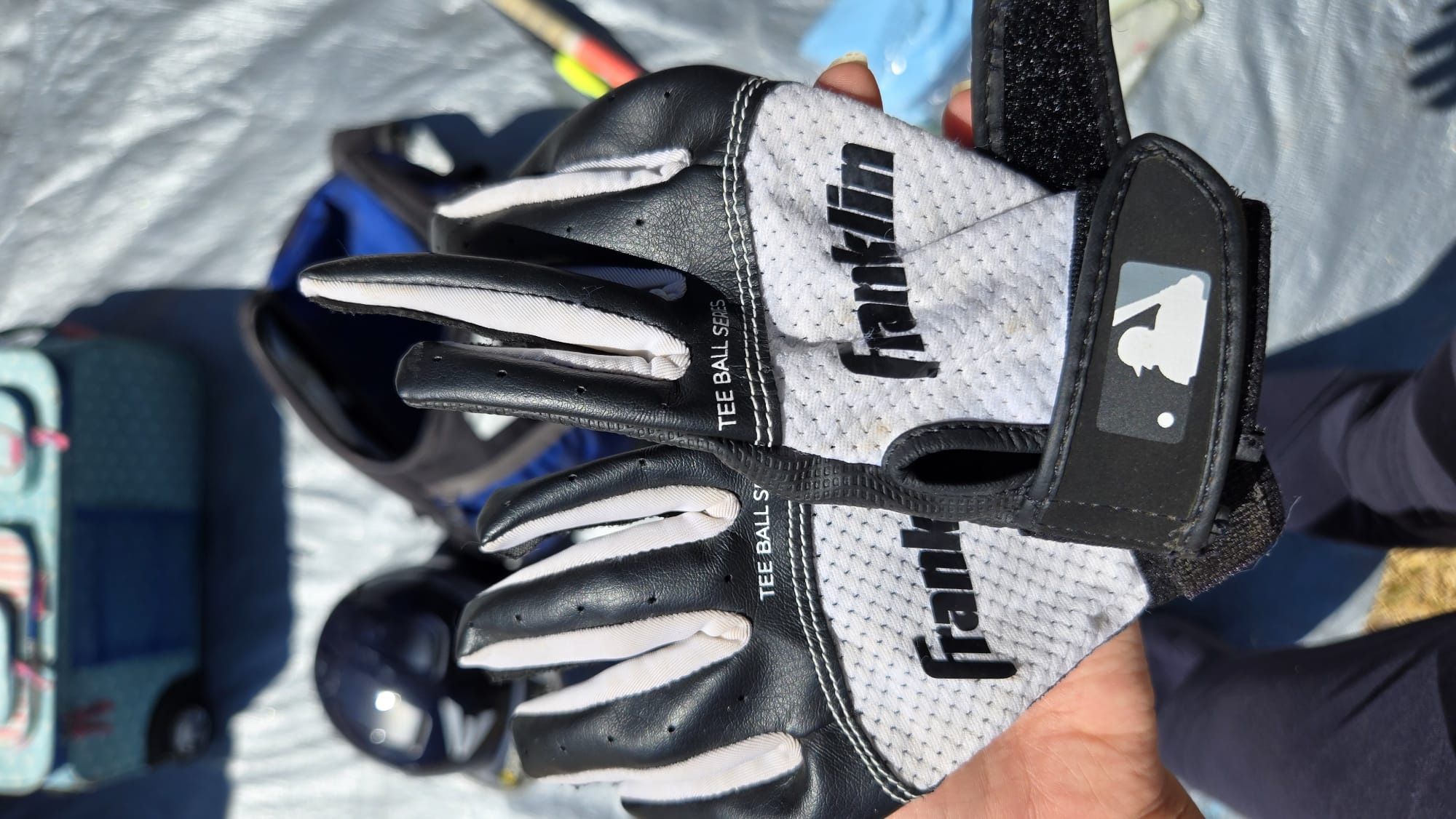 Softball Gloves