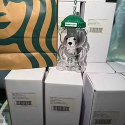 On Sale Starbucks Bear Drink Cup New