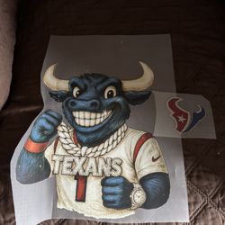 Texans Dtf 10.5 Inch 