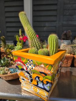 Planters, Flower Pots, Edging, Garden Decor $3...$5..$10..$15