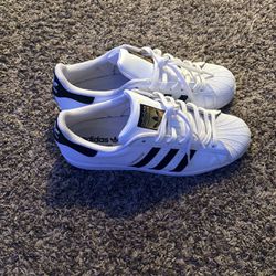 Adidas Shell Toes 