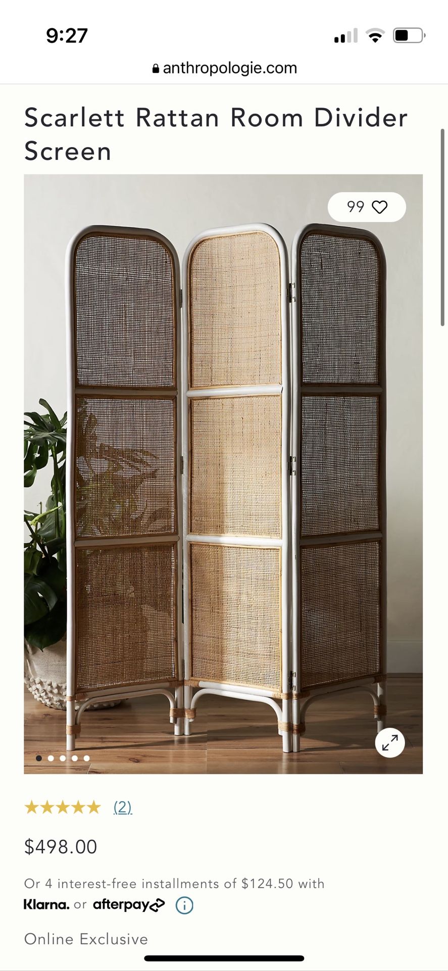 Anthropologie Room Divider Screen