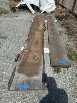 Wood Slabs Live Edge
