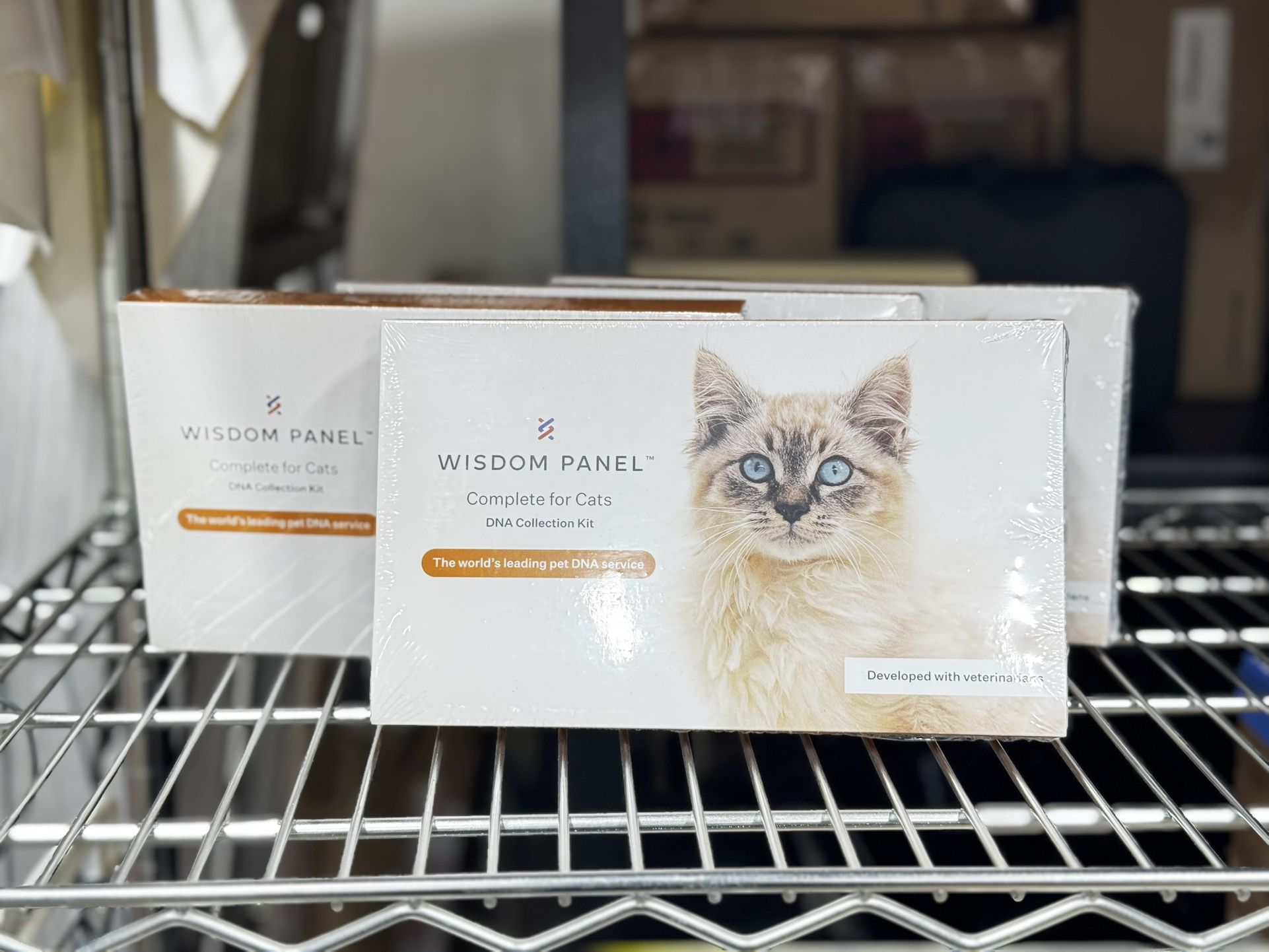 Wisdom Panel Complete Cat DNA Test - QUANTITY 2