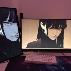 Monitors/Dual mount