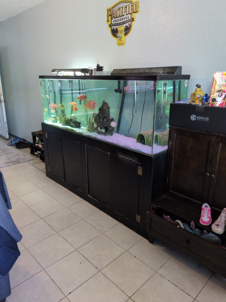 Fish Tank