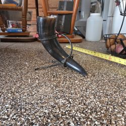 Decorative Animal Horn