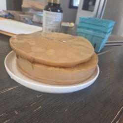 Kombucha Starter
