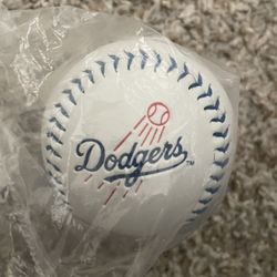 2017 Dodgers Spring Training Baseball New