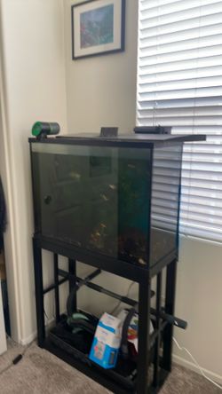 Fish tank including stand, filter, etc.