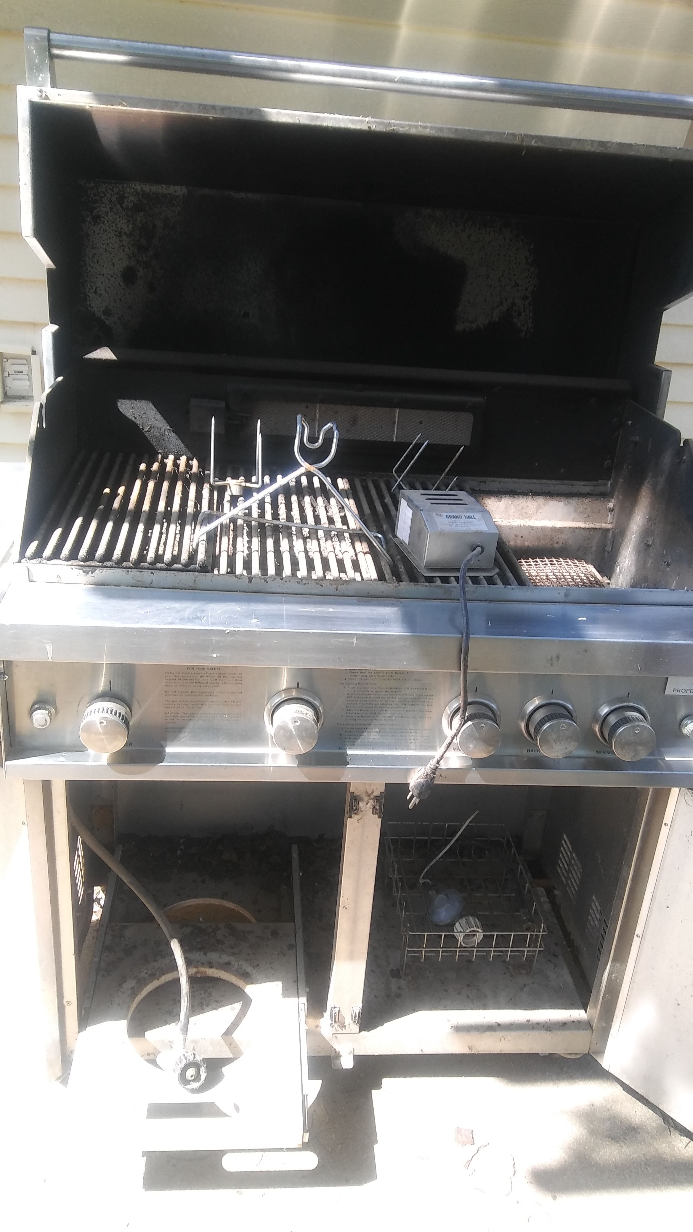 Professional gas grill