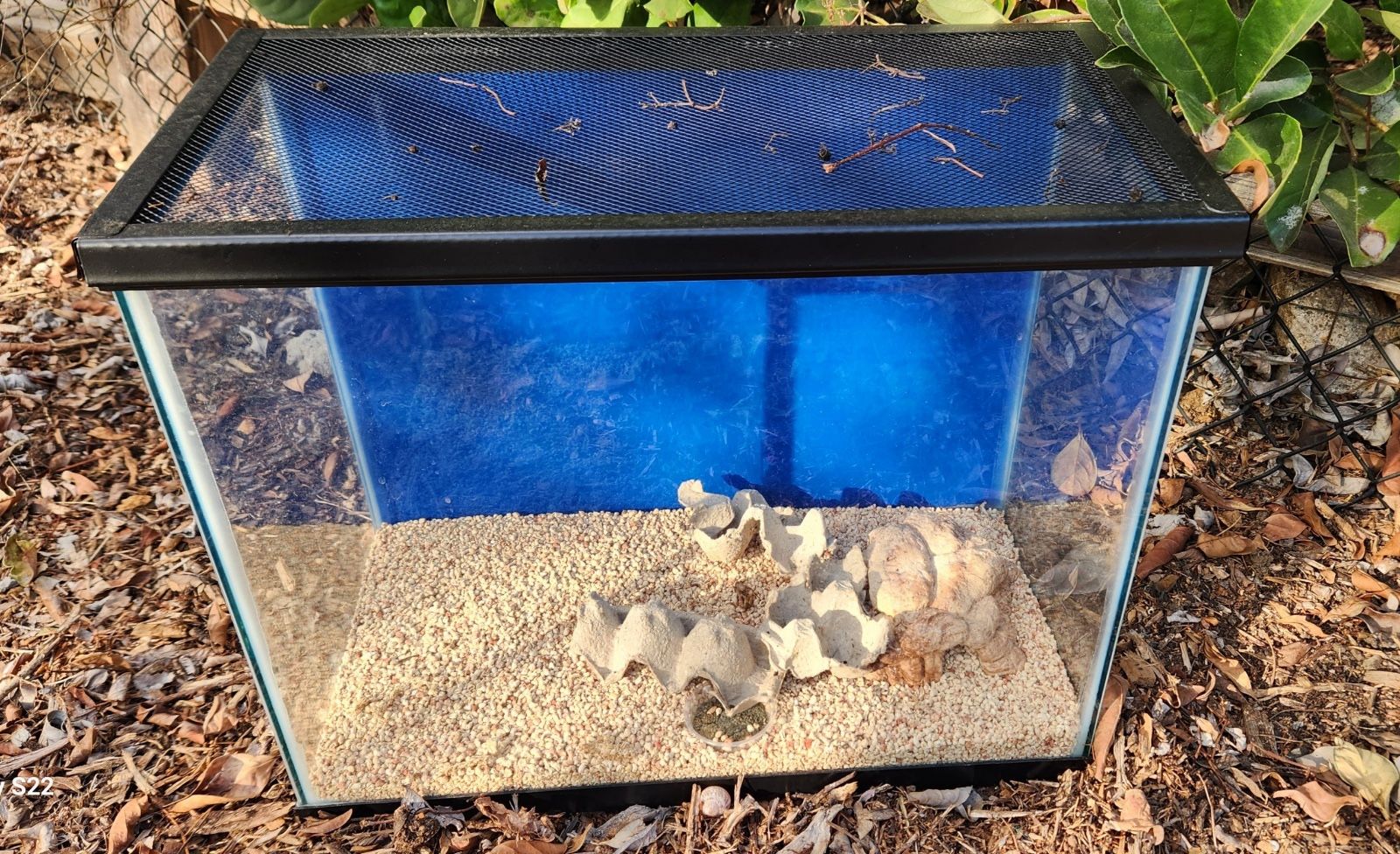 Reptile Tank