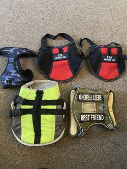 Harness & Life Jacket
