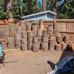 Firewood Rounds For Sale 
