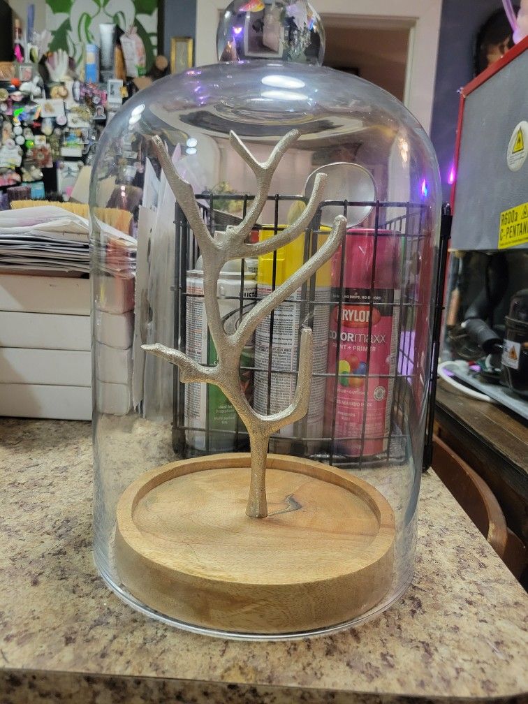 Bell Jar Racks Bell Jar With Trinket Holder for Sale in New Orleans, LA - OfferUp