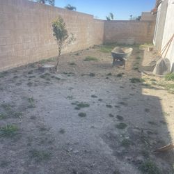 Yard Clean Up