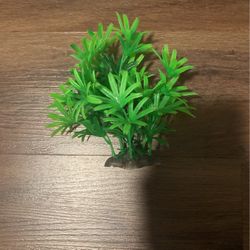 Tree accessory For Tank