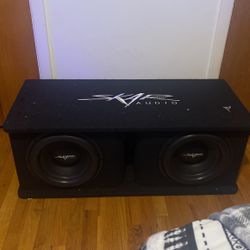 2 12” Skar Subwoofers