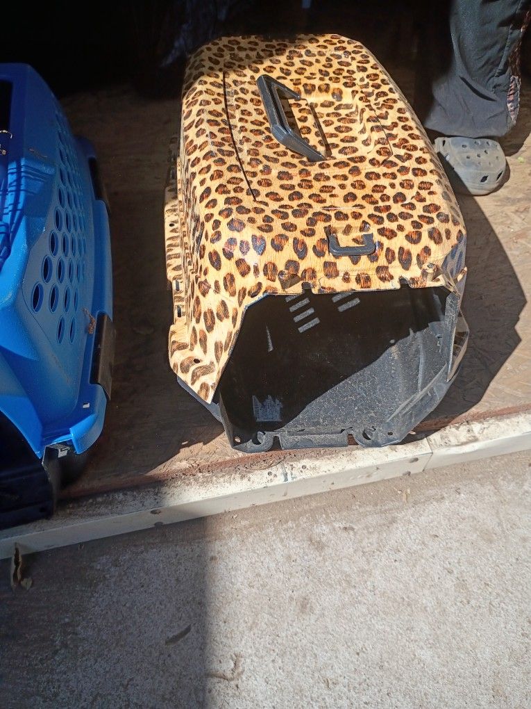 Cat Hose