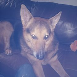 Unwanted Clothes/All Sizes/I Can Come To You