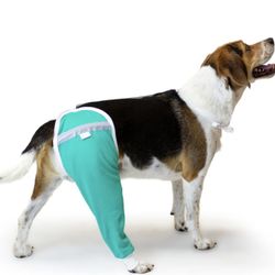 Hip and Thigh Protective Sleeve for Dogs