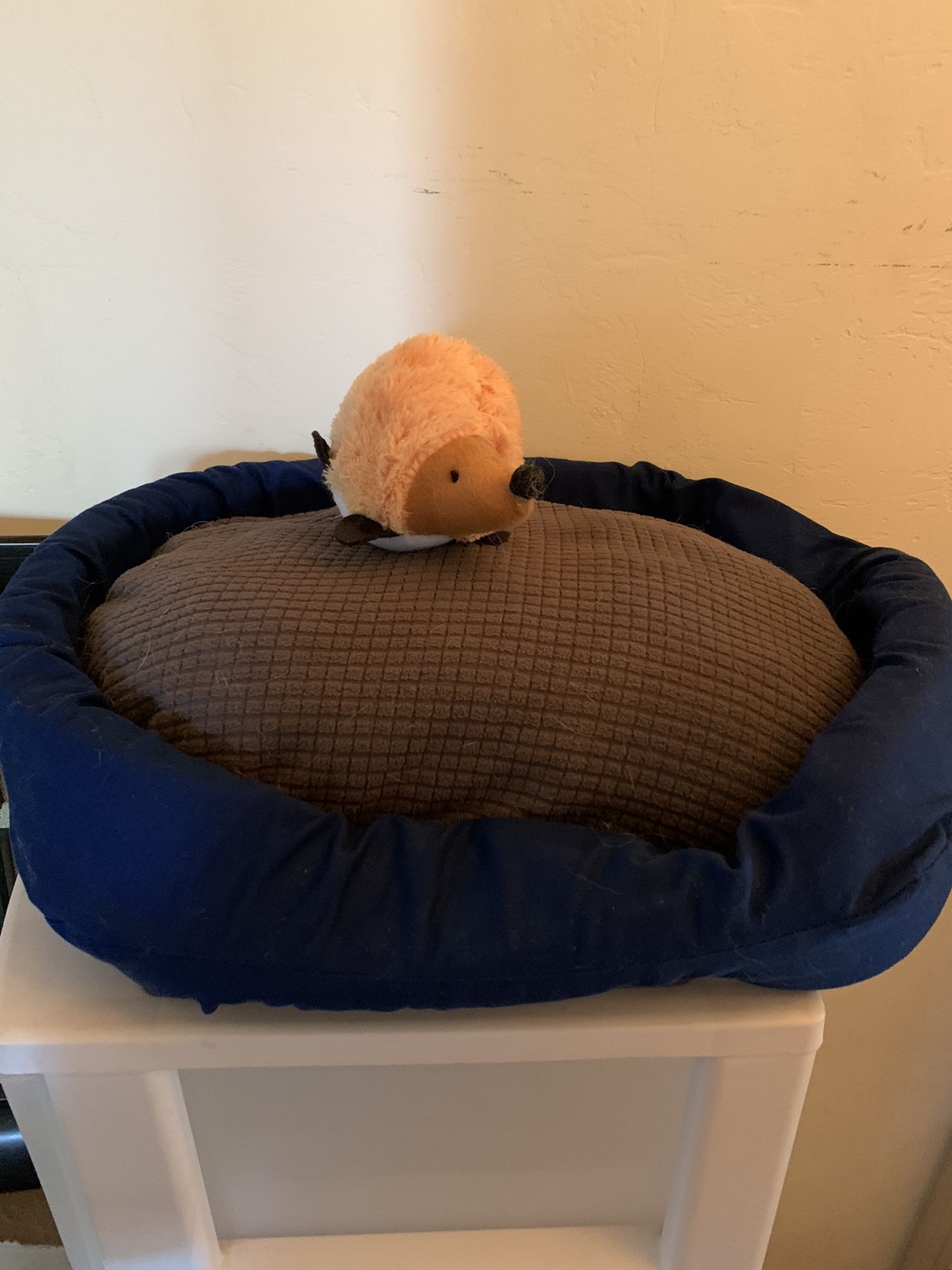 Small Dog Bed