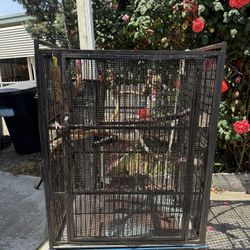 Big Bird Cage