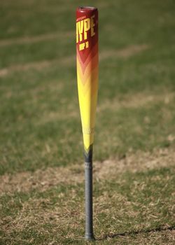 Easton Hype Fire Baseball Bat (usssa)