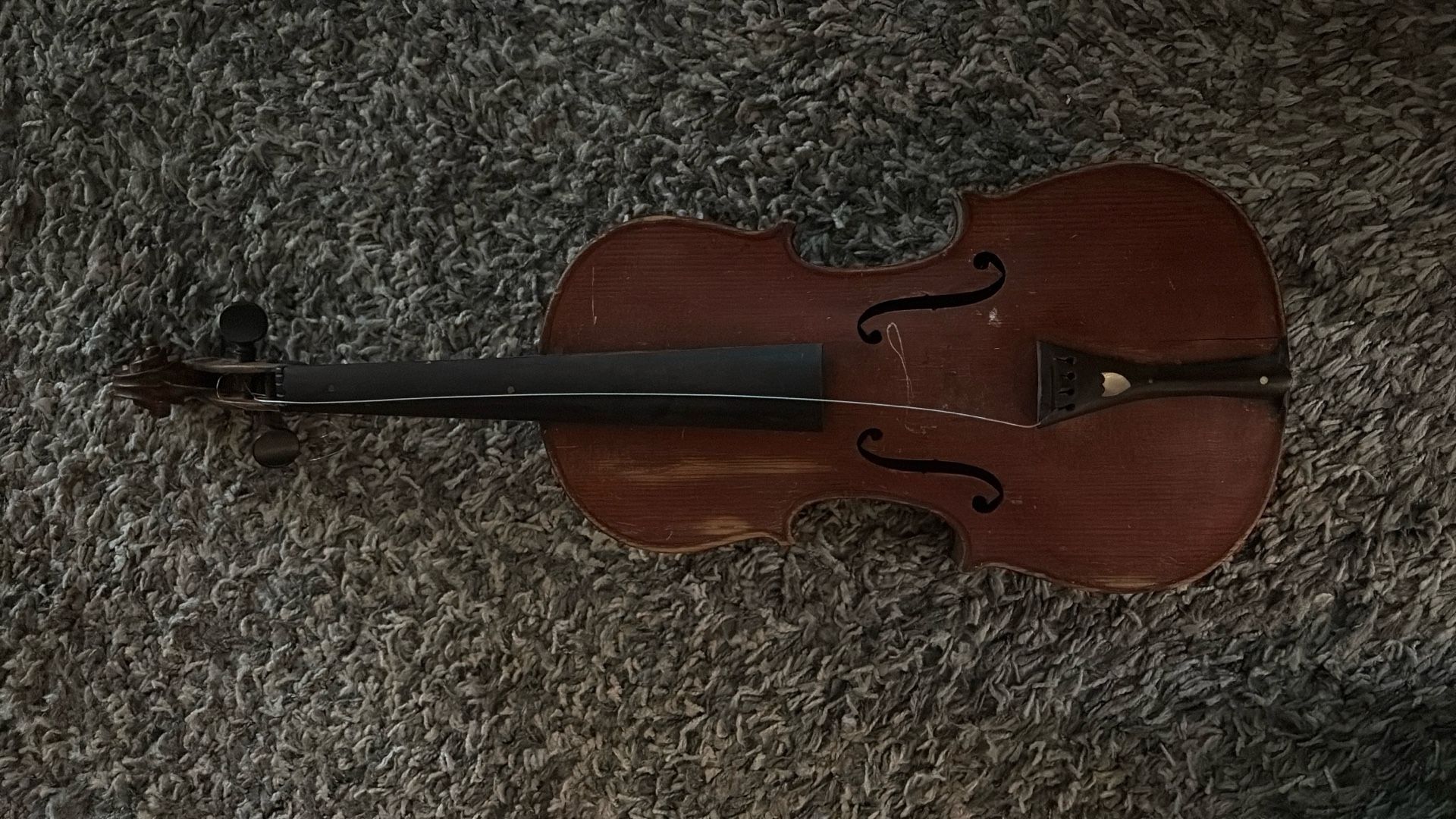 Violin Project  