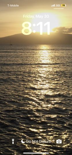 Brand New Lulu Face Mask - $5.99