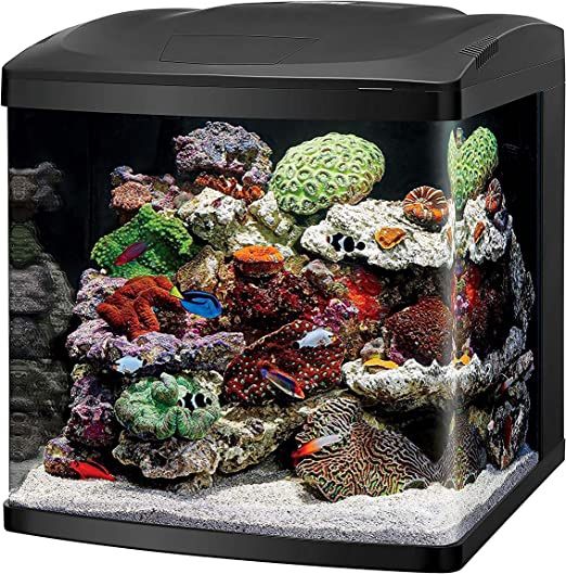 Brand New Coralife BioCube 32 Gallon Saltwater All In One Fish Tank