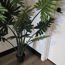Floor Decore Tall Plants