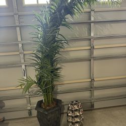 Decor (Tall Plant With An Extra Vase) 